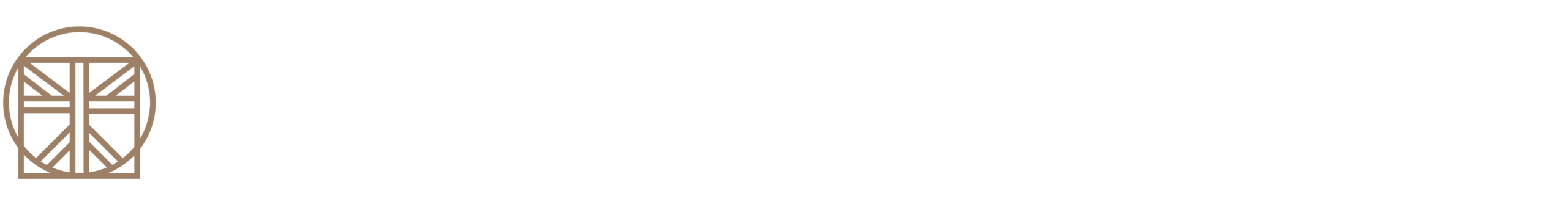 Hisential Clinics logo